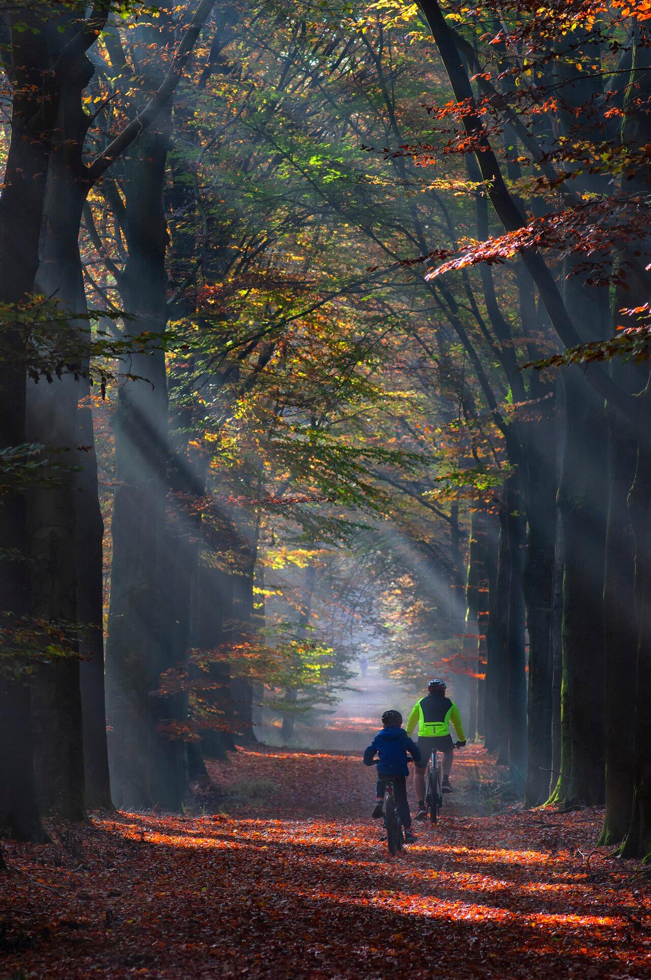 10 Songs That Would Have Failed on Other Artists