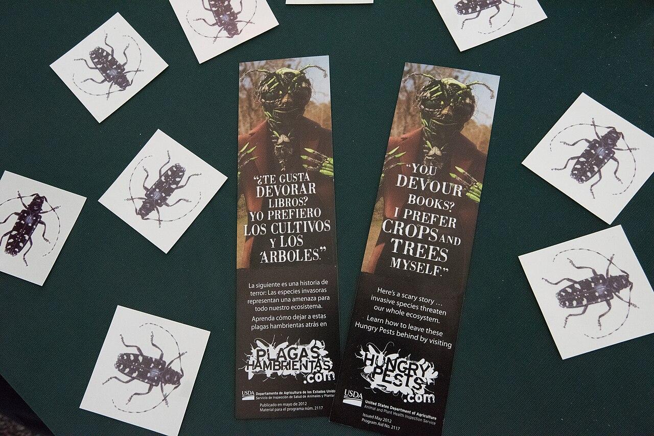 The Day The Beatles Accidentally Invented a Conspiracy