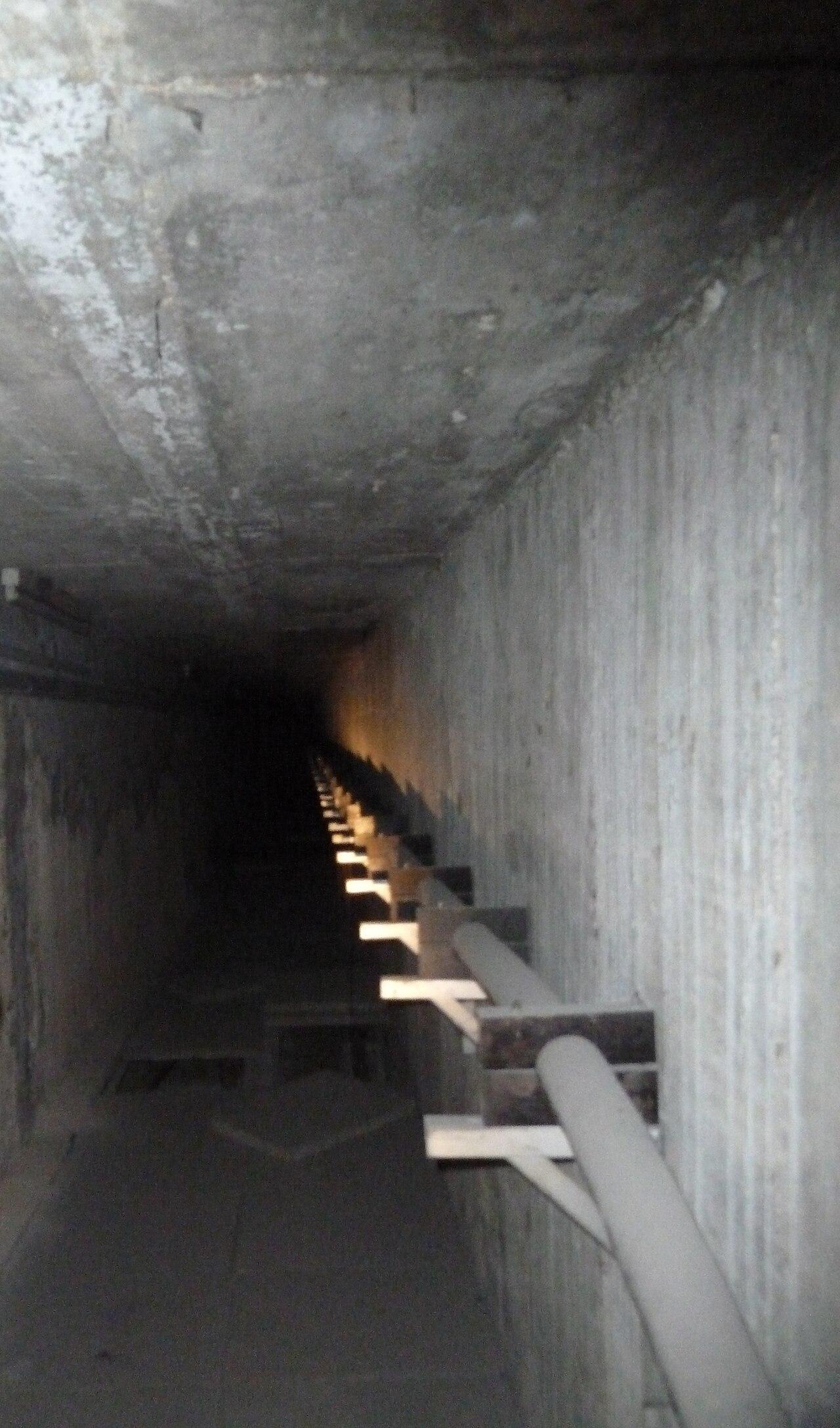 The Hidden Blueprint of Every Music Genre