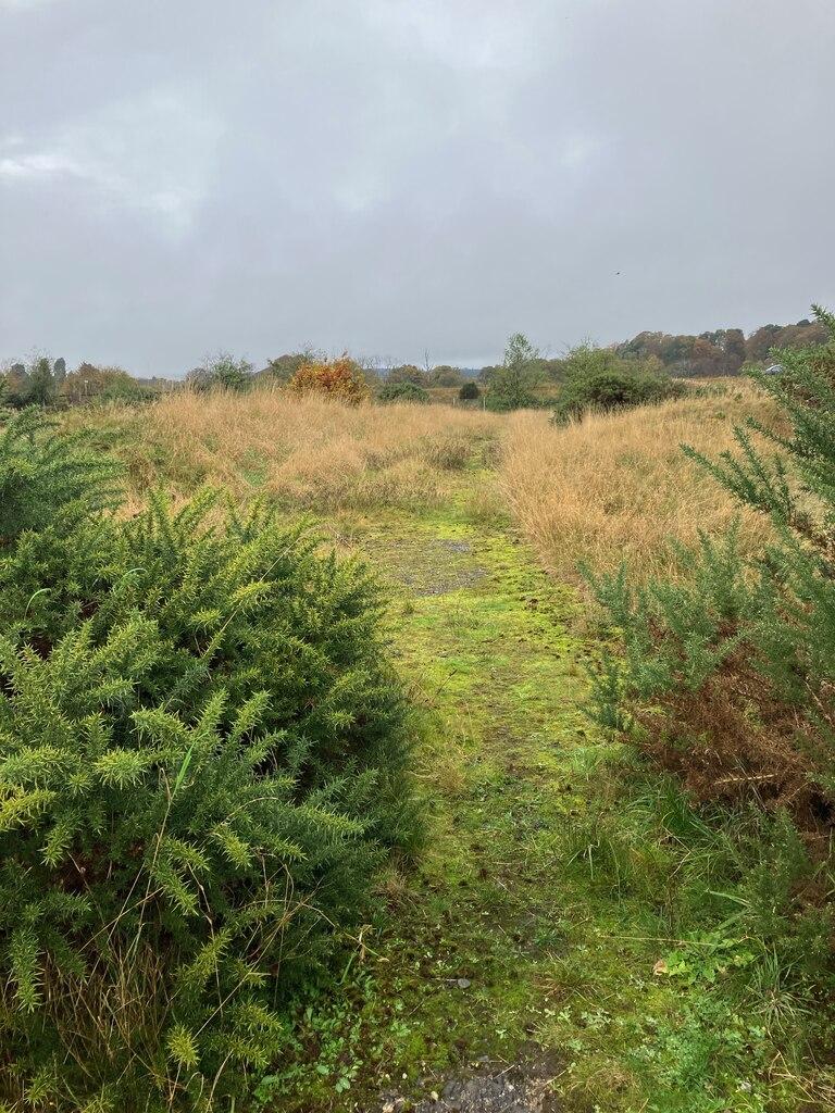 The Hidden War for Your Playlists