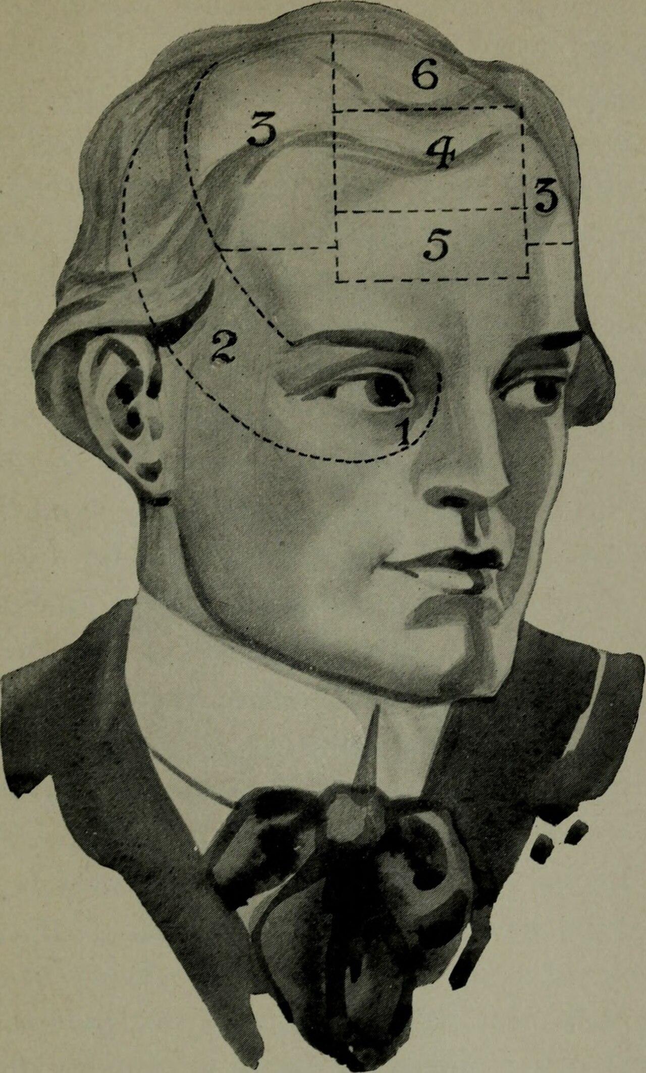 The Physical Reality of the Musical Brain