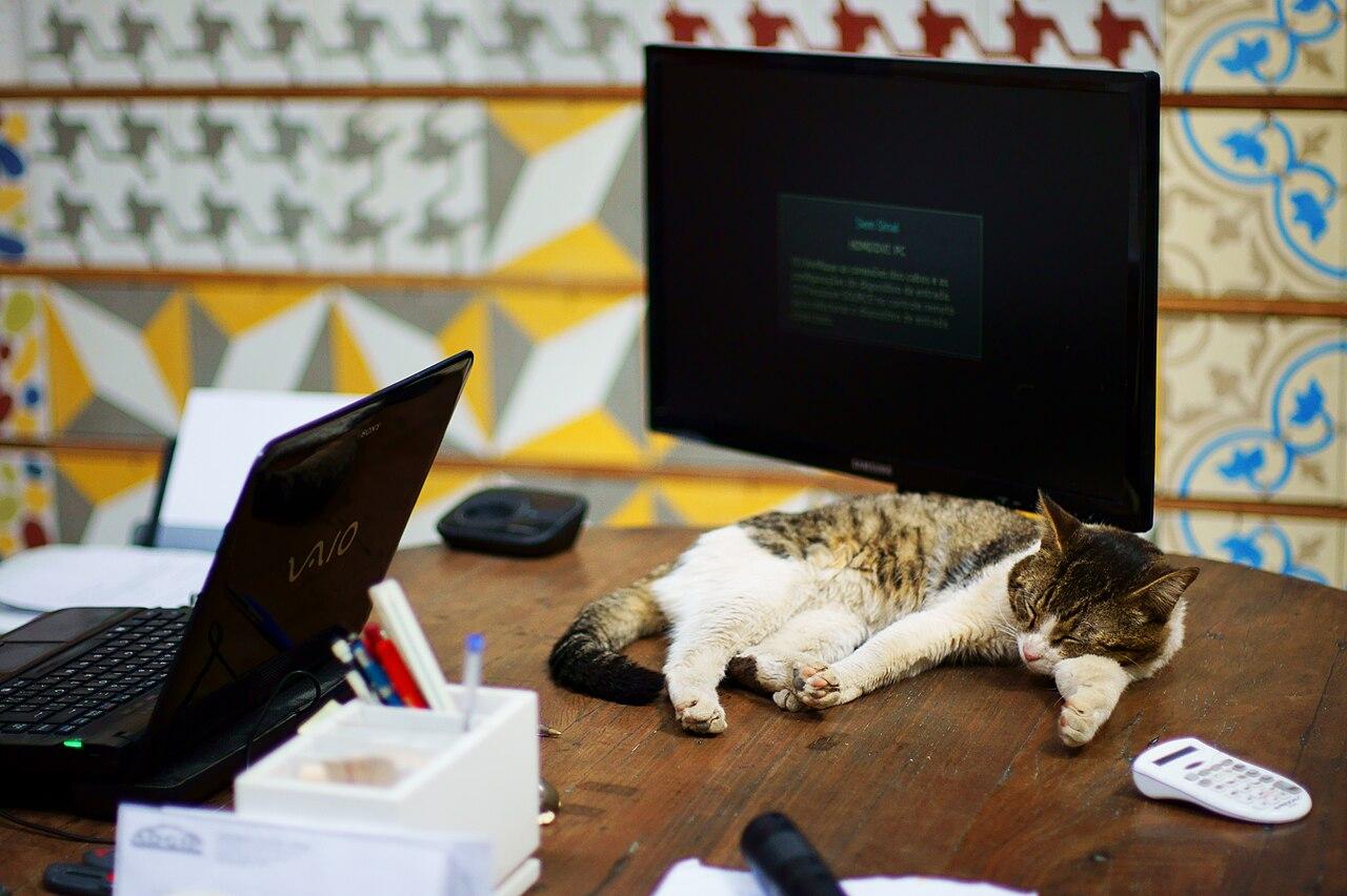 The Streaming Lie: Why Musicians Are Still Broke