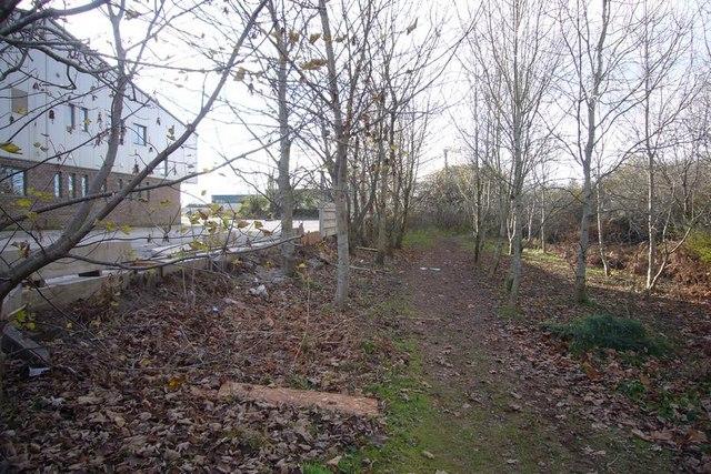 Why Live Music Hits Harder Than Studio Recordings