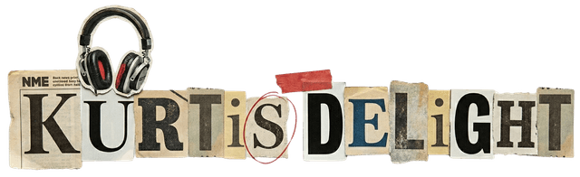 Kurtis Delight