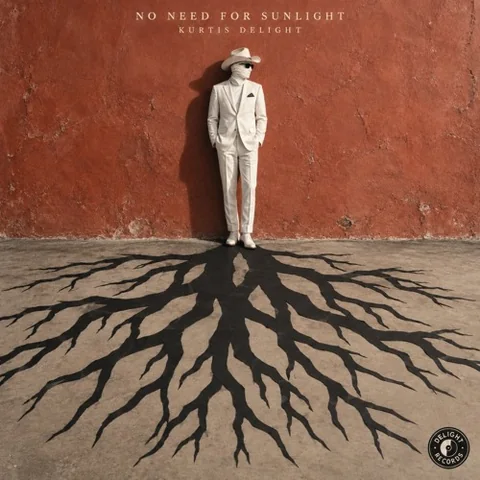 No Need For Sunlight cover art