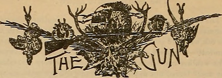 Breeder and sportsman (1900) (19787354624).jpg