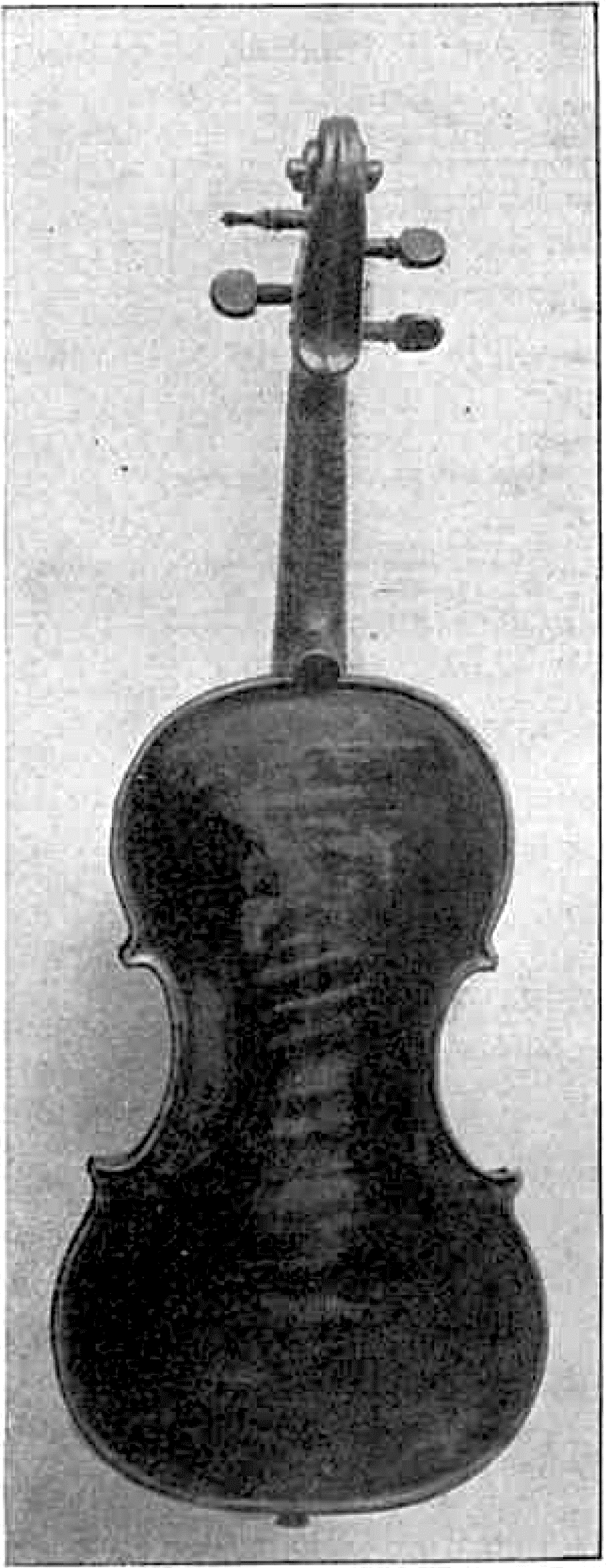 Violon de giuseppe guarneri del gesù (dos) - 1724 - T2p118.png