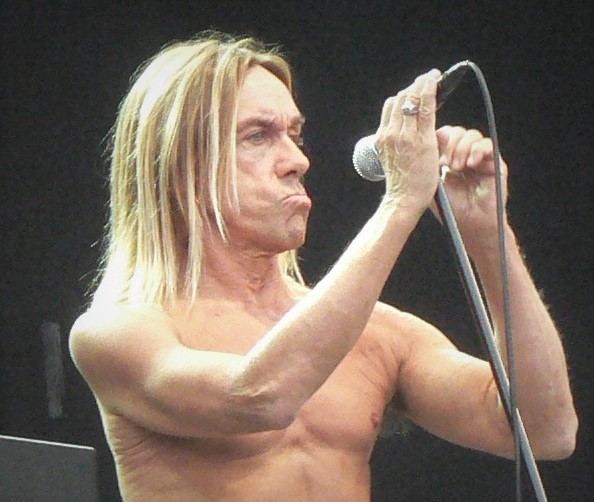 Iggy Pop -.jpg