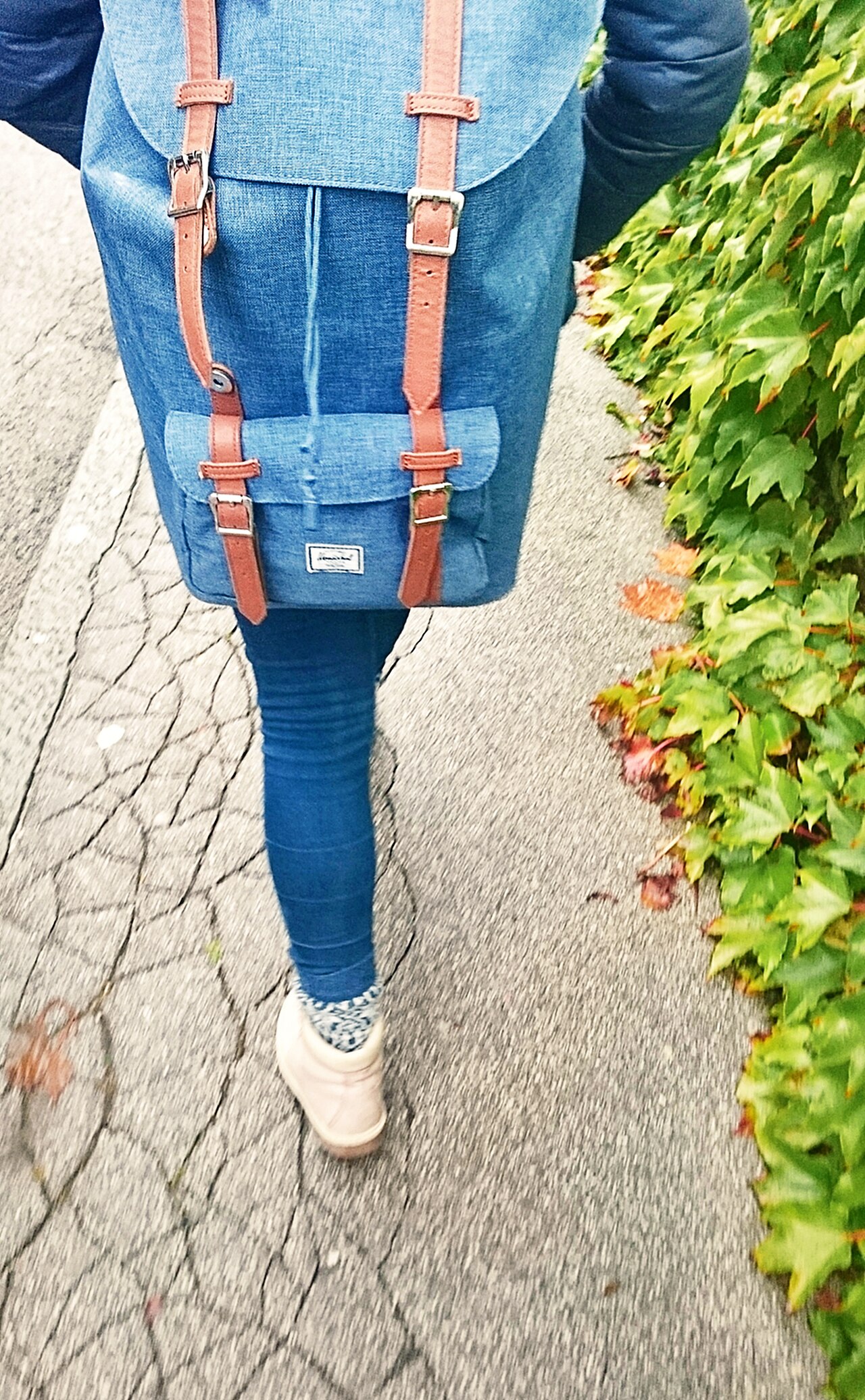 Walking away (31096929974).jpg