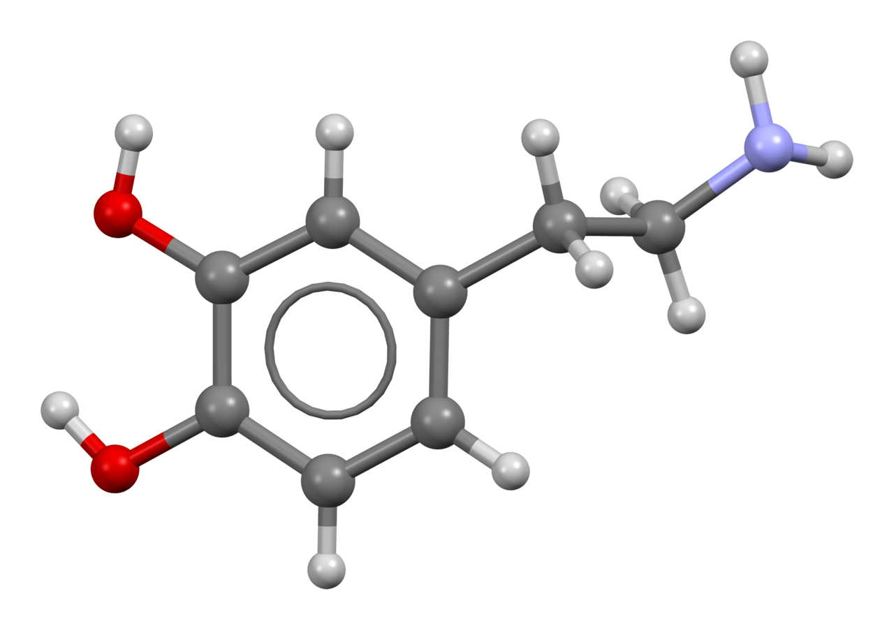 Dopamine-based-on-xtal-3D-bs-17.png